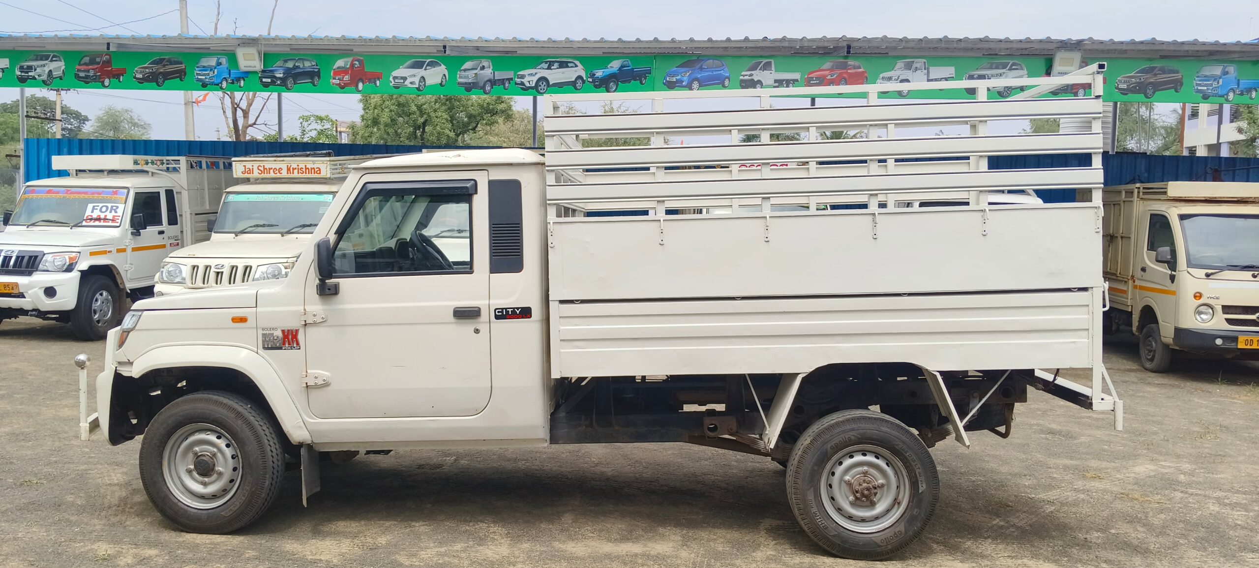 WhatsApp Image 2025-04-04 at 10.37.55 AM (1)