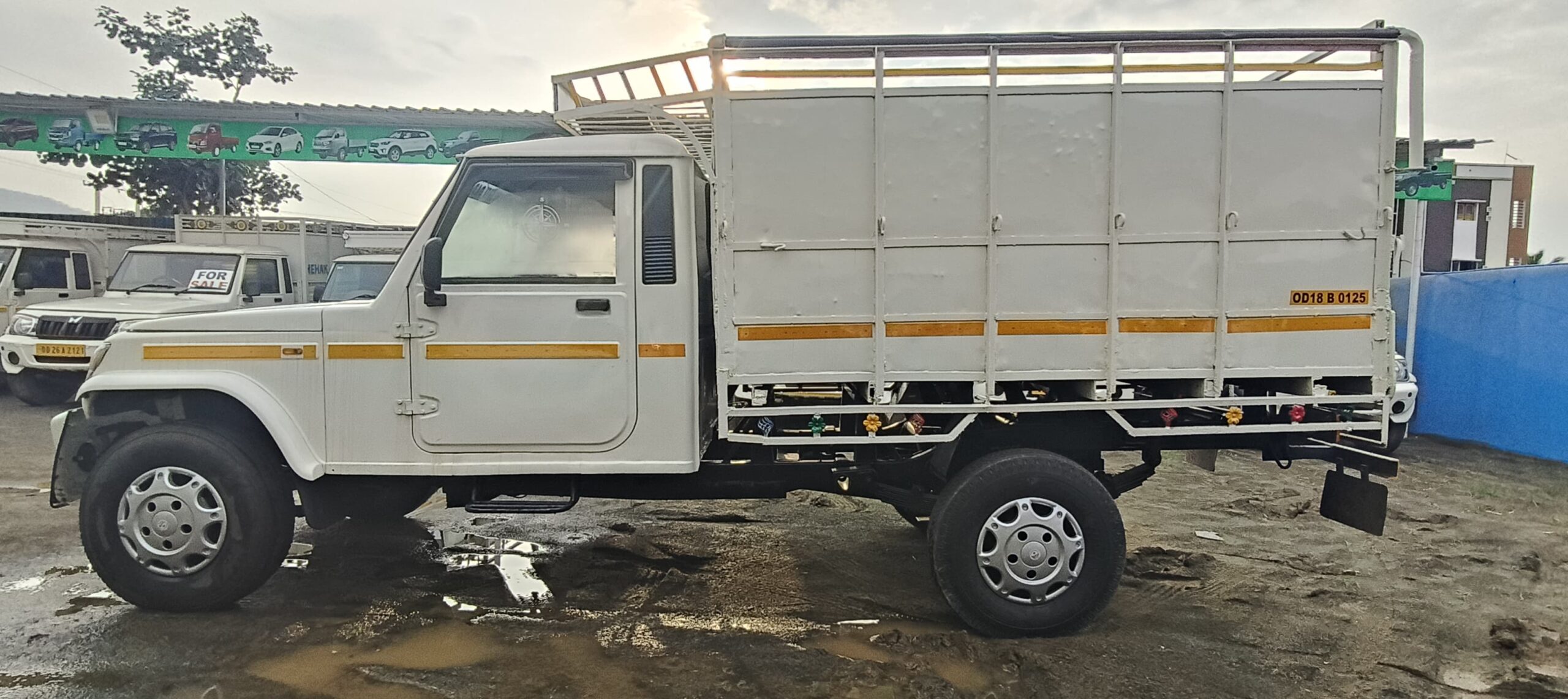 WhatsApp Image 2025-07-13 at 10.20.58 AM