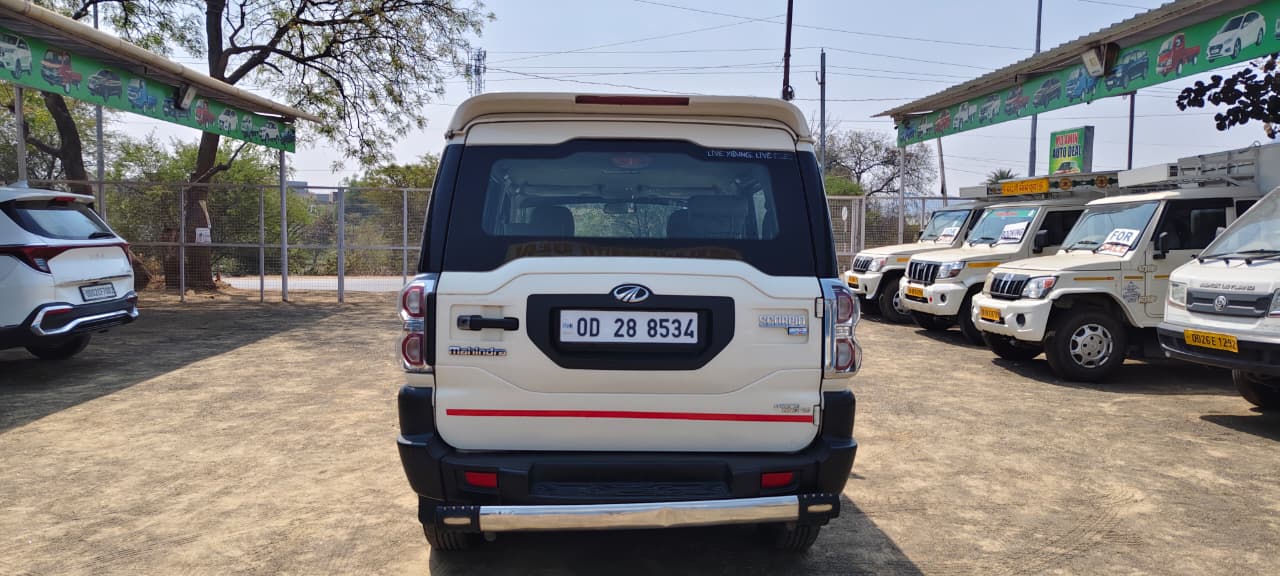 WhatsApp Image 2026-02-19 at 12.06.50 PM